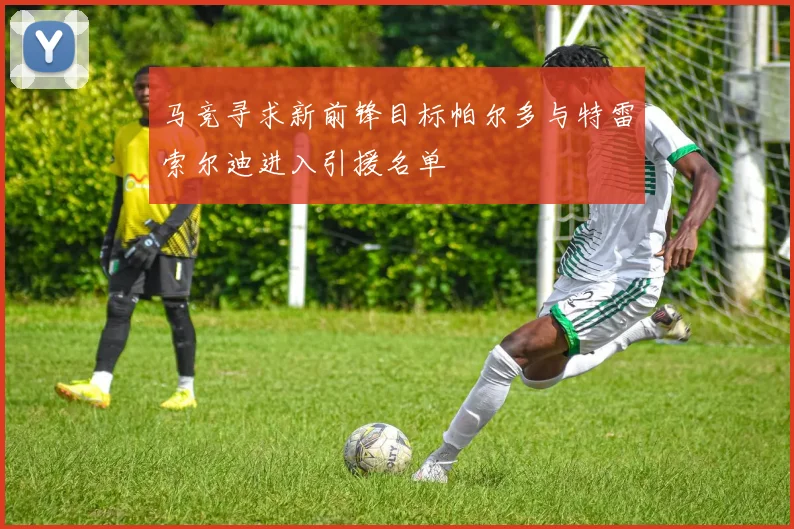 马竞寻求新前锋目标帕尔多与特雷索尔迪进入引援名单