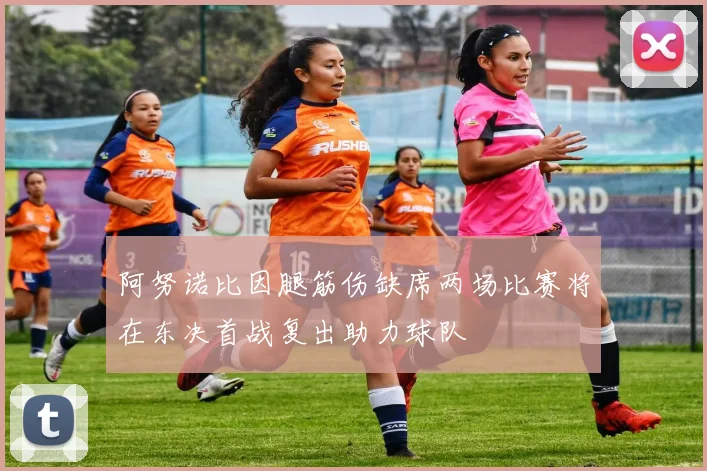 阿努诺比因腿筋伤缺席两场比赛将在东决首战复出助力球队